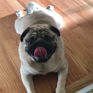 Meet your Posher, Anthony